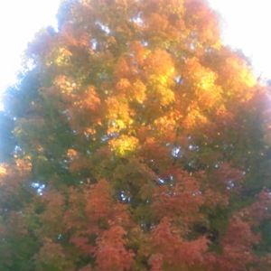 Meet your Posher, Danette